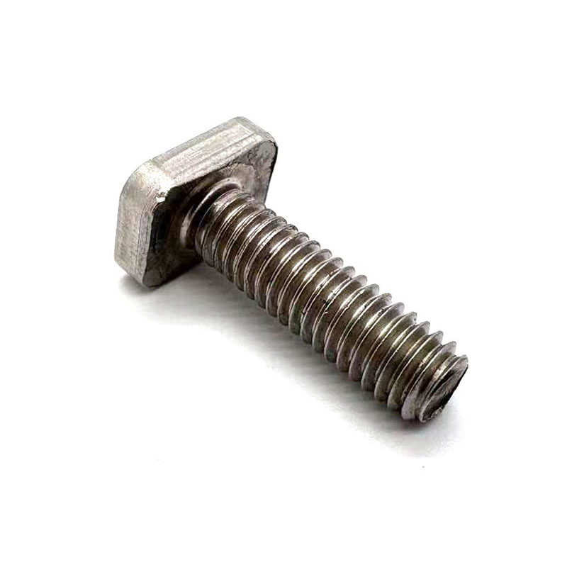 Kepala keluli tahan karat t bolt